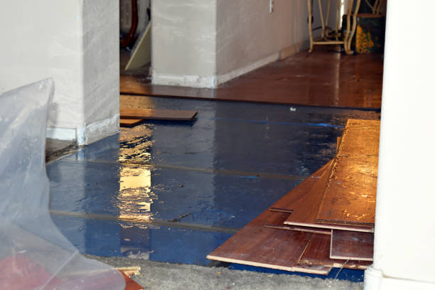 Professional Basement Flooding technician working in Parker, FL
